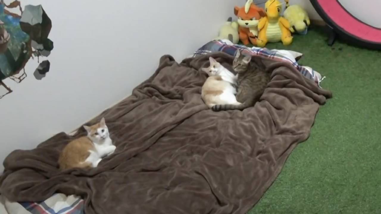 女の寝姿イタズラ 
