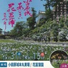 小田原城で梅雨の花見　あじさい花菖蒲まつり
