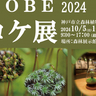 神戸市立森林植物園「KOBEコケ展2024」コケの奥深い世界にあなたを誘う企画展