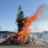 30回目のどんど焼き盛大に　海の公園に５万人超