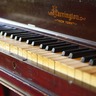 【奈良ホテル】「アインシュタイン博士」が弾いた「ピアノ」を奏でられるプランが登場