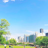 【大阪】ピクニックが楽しめる公園10選！おしゃピクやデートにもおすすめ