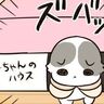 猫のお出迎えは、疲れを一気に吹き飛ばす【猫マンガ】もふもふスコたん