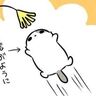 ツンデレ猫の成長物語。ブラッシング嫌いから甘えん坊へ【猫マンガ】もふもふスコたん