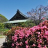 遊行寺に春来たり