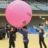 中原スポーツまつり　楽しさテーマに　２月24日　とどろきＡで