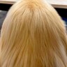 『美しい金髪のサラサラヘアー』と思いきや…人間にしか見えない『まさかの正体』が34万再生「シャンプーのCMで草」「毛並み最高ｗ」と爆笑