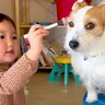 女の子が『犬とおままごと』した結果…お姉ちゃんっぷりが凄い『付き合ってあげる姿』が優しすぎると35万再生「かわいい姉妹」「愛おしい」