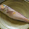 徳川家康は「鯛の天ぷら」で死んだはウソ？　真鯛ではなくアマダイの可能性も