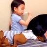 小さな男の子が『犬たちと一緒に育った』結果…愛情たっぷりの『お世話をする姿』が泣けてくると108万再生「本当の兄弟みたい」「微笑ましい」