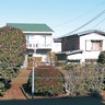 街かどで　善行の｢ハートの木｣　２月14日はバレンタイン