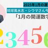 【シウマさん今月の数字占い】1月は「スタートダッシュで願いを叶える月」｜VERY