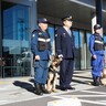 においで探し出す　5頭を警察犬に　釜石署嘱託　震災不明者の捜索にも活躍