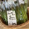 オーガニック野菜がこの価格！？かわいい雑貨屋のような野菜の直売所【石狩】