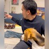 『目の前に犬がいるのに見えないフリ』をしてみた結果…想像以上の反応が愛おしすぎると69万再生「全身でアピールするのたまらん」と悶絶
