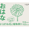 今度は植物に癒されよ…！ルクア大阪で「よくばりな花と植物祭り」開催