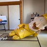 【ただいま～】レルヒさんが新潟ふるさと村に帰宅、撮影会やサイン会などイベント開催