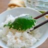 漬けるだけ！悪魔の大葉漬けに「ごはんが消える！」「えっ、もうなくなった…？」