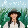 伊藤沙莉が沖縄弁で演じる魅力的なキャラクターが垣間見える映像初解禁！『風のマジム』