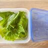 ちぎったレタスをシャキッと長持ち！失敗しない保存方法まとめ