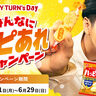 ハッピーターンの「粉」や巨大枕が当たる！　亀田製菓、4月21日から「みんなにハピあれ」キャンペーン開始