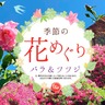 〈奈良〉季節の花めぐり「バラとツツジ（4〜5月）」