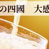 三宮・さんプラザ地下「饂飩（うどん）の四國」で、全ドリンクが『半額』になるみたい。一日限り、「お酒」も豊富