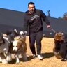 大型犬5頭を1人で散歩させていたら…芝生の坂道で起きた『コントすぎる展開』が81万再生「犬ぞりで笑った」「見事なスライディングｗ」と爆笑