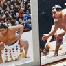 「横綱」は謎が多い！奈良県葛城市にある『相撲館けはや座』で企画展「歴代横綱展」を開催中！