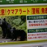 出没件数が基準超え　三重県クマアラート注意報発表　熊野市、御浜町、紀宝町が対象