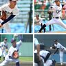 秋季高校野球静岡県大会、9月14日いよいよ開幕！秋は左腕が鍵になる⁉新バット、二段モーション解禁で“投高打低”が加速？