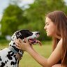 犬のしつけでアイコンタクトを教える必要はある？教える際の理由と必要性について