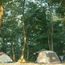 【千葉・デイキャンプ】バーベキューを楽しみたい設備充実のキャンプ場4選！トム・ソーヤ気分が体験できるツリーハウスが魅力の「ホウリーウッズ