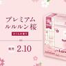 季節限定「プレミアムルルルン桜（さくらの香り）」が出るよ～！春のゆらぎ肌にうるおいチャージ♡