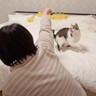 大好きなママと寝るのが楽しみな猫…『ナイトルーティン』の様子が可愛すぎると35万2000再生「仕草がかわいい」「大好きが出てる」