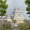 【姫路市】姫路城大天守で合同床磨き　親子30組を募集中