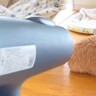 犬をシャンプー後、ドライヤーで乾かそうとしたら…『一生乾かない』まさかの"謎すぎるルール"が548万表示「自然乾燥で草」「遠すぎｗ」と爆笑