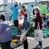 野川で地産地消を　ＪＡ直売会に多くの人出