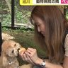 動物病院併設のペットカフェ　飼い主とペット