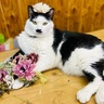 母の日の贈り物を“受け取り拒否”する姑たち。花屋が「令和の嫁」トリセツを提案します