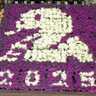 須磨離宮公園で、2025年の干支「巳」をモチーフにした『葉牡丹飾り』が展示されてる。「お正月イベント」も