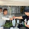〈葛城市〉消えゆく町の名産を知って「二輪菊プロジェクト」始動