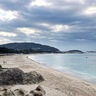 地元の自然と歴史を学ぶ　博物館、科学館などが連携