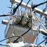 電柱上の巣、投稿して　停電防止へ　謝礼も　中部電力パワーグリッド