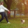 『外出したがらない犬』の心理3選　スムーズに散歩へ連れて行くためのポイントとは？