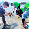 周防大島町でアマモの移植作業。魚が棲める環境作りを【日本釣振興会
