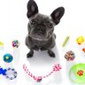 犬が興味を失ってしまう『おもちゃ』の特徴3つ　さっきまで遊んでたのに…突然飽きてしまう理由や対策法とは