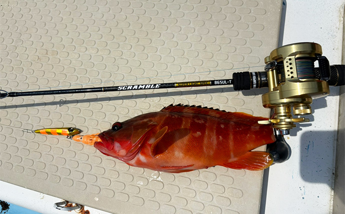 田村釣具　羽太　アカハタ 田村釣具 羽太 アカハタ