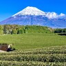 移住希望先ランキング　4年連続トップの静岡県が陥落…1位は？　ジャンプアップした県は？