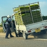 上越市鴨島の国道18号で軽トラックが中央分離帯に衝突　57歳男性死亡